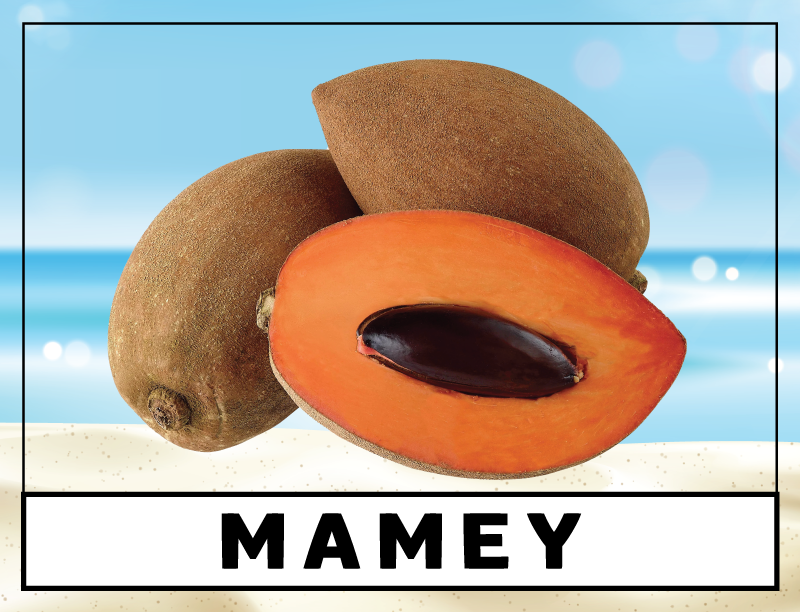 Paletería La Huerta - Paleta de helado - Mamey - 3.5 fl oz
