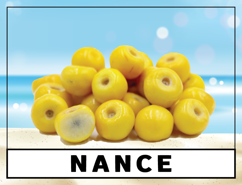 Paletería La Huerta - Paleta de helado - Nance - 3.5 fl oz