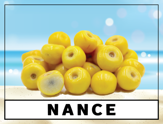 Paletería La Huerta - Paleta de helado - Nance - 3.5 fl oz