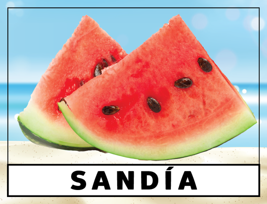 Paletería La Huerta - Paleta de helado - Sandía - 3.5 fl oz